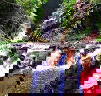 Exclusive Private Tour - Design your own - Hotel QLD