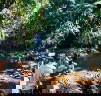 Aquaduck  Your choice of Gold Coast Rainforest Tour - Hotel QLD