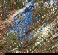 Kangaroo Island 4WD Tour - Best of KI in 2 Days - Hotel QLD