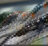 Sunset Experience - Hotel QLD