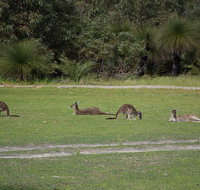 Yanchep  Lancelin - Wildlife Cave And Sands - Hotel QLD