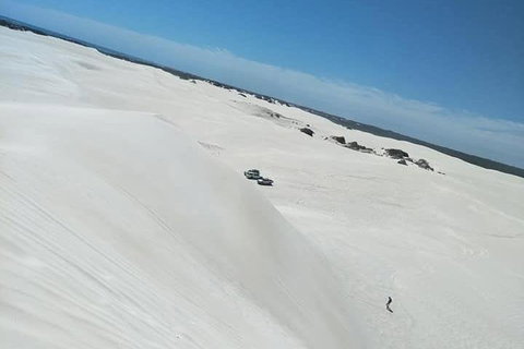 Yanchep & Lancelin - Wildlife, Cave And Sands - Hotel QLD 3