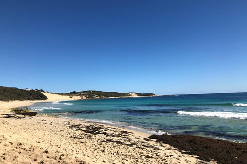 3d/2n Themed Camping Getaway - Private Campgrounds And National Parks - Hotel QLD 3