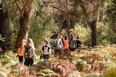 Half-Day Yanchep Ghost House Wilderness Guided Hike Tour - Hotel QLD 0
