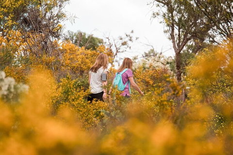 Half-Day Yanchep Ghost House Wilderness Guided Hike Tour - Hotel QLD 4
