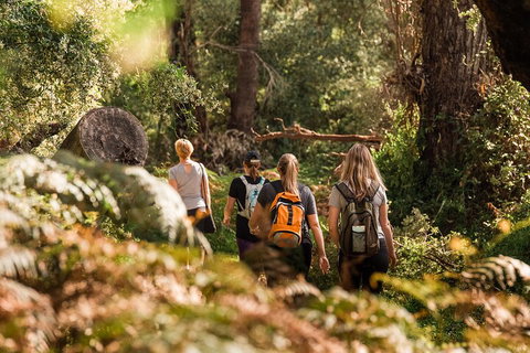Half-Day Yanchep Ghost House Wilderness Guided Hike Tour - Hotel QLD 5