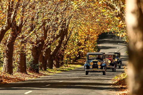 Blue Mountains Vintage Cadillac Tour With Local Guide - Hotel QLD 1