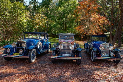 Blue Mountains Vintage Cadillac Tour With Local Guide - Hotel QLD 4