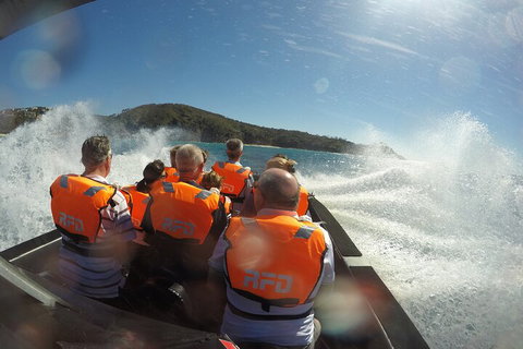 Noosa Thriller - 500hp Ocean Adventure Ride - Hotel QLD 3