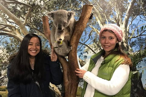 Australia Multi-City Attractions Pass - Hotel QLD 3