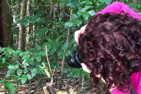 Let's Go Buggin & Let's Go Shroomin - Photography & Nature Walking Tours - Hotel QLD 1