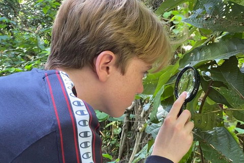 Let's Go Buggin & Let's Go Shroomin - Photography & Nature Walking Tours - Hotel QLD 3