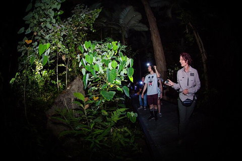 Let's Go Buggin & Let's Go Shroomin - Photography & Nature Walking Tours - Hotel QLD 4