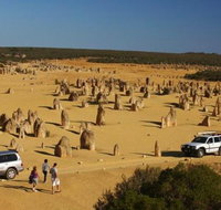 1-Day Pinnacles and Yanchep Tour from Perth including Fish and Chips Lunch - Hotel QLD