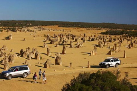 1-Day Pinnacles And Yanchep Tour From Perth Including Fish And Chips Lunch - Hotel QLD 0
