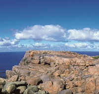 4 Day Tour Albany Margaret River Valley of the Giants TreeTop Walk from Perth - Hotel QLD