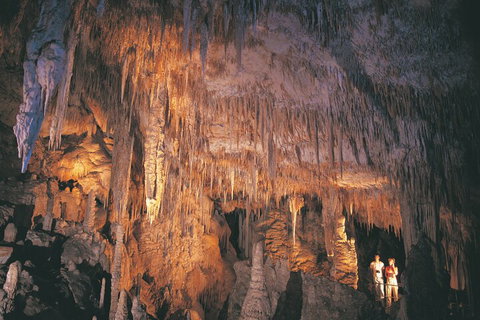 4 Day Tour: Albany, Margaret River, Valley Of The Giants TreeTop Walk From Perth - Hotel QLD 1