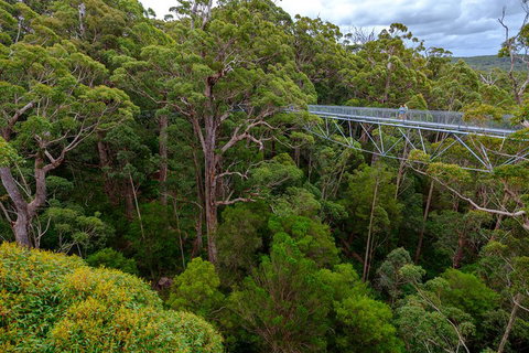 4 Day Tour: Albany, Margaret River, Valley Of The Giants TreeTop Walk From Perth - Hotel QLD 4