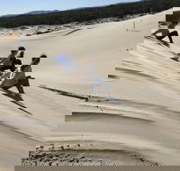 Port Stephens Bush Beach and Sand Dune 4WD Tag-Along Tour - Hotel QLD