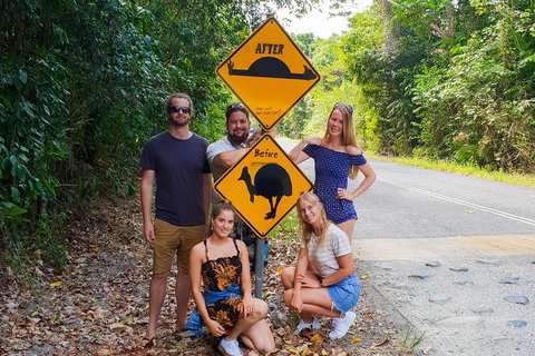 Cape Tribulation, Daintree Rainforest And Wildlife Tour - Hotel QLD 0