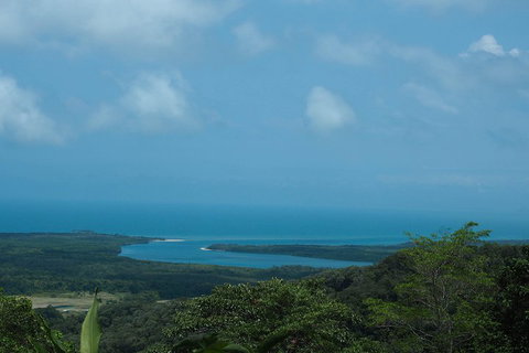 Cape Tribulation, Daintree Rainforest And Wildlife Tour - Hotel QLD 1
