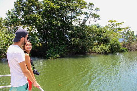 Cape Tribulation, Daintree Rainforest And Wildlife Tour - Hotel QLD 2