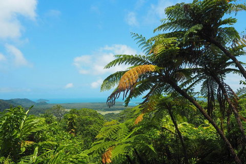 Cape Tribulation, Daintree Rainforest And Wildlife Tour - Hotel QLD 3