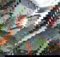 Virtual Interactive Australian Wildlife Tour With Private Guide-Wildlife Habitat - Hotel QLD