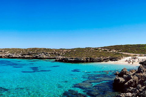 Rottnest Island Roundtrip Fast Ferry From Hillarys Boat Harbour - Hotel QLD 4