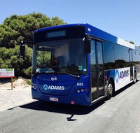 Rottnest Bayseeker Bus Tour from Hillarys Boat Harbour - Hotel QLD