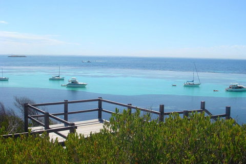 Rottnest Bayseeker Bus Tour From Hillarys Boat Harbour - Hotel QLD 3