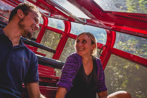 Blue Mountains Hop-on Hop-off Tour With Optional Scenic World Rides - Hotel QLD 5
