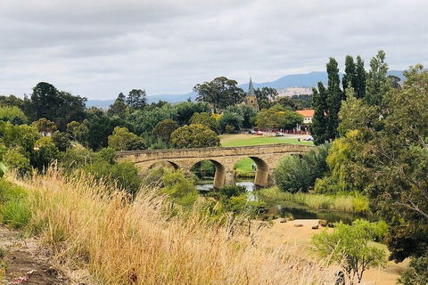 Day Tour In Mt. Field, Mt. Wellington, Bonorong Wildlife Sanctuary And Richmond - Hotel QLD 3