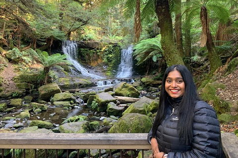 Day Tour In Mt. Field, Mt. Wellington, Bonorong Wildlife Sanctuary And Richmond - Hotel QLD 5