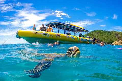 Great Barrier Reef Scenic Flight And Ocean Rafting Whitehaven Beach Day Trip - Hotel QLD 1