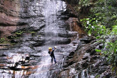 Full-Day Canyoning Experience At Stunning Empress Canyon - Hotel QLD 0