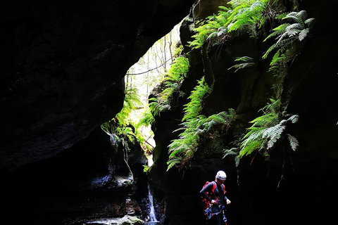 Full-Day Canyoning Experience At Stunning Empress Canyon - Hotel QLD 2