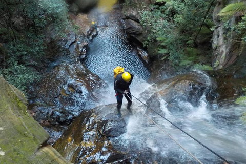 Full-Day Canyoning Experience At Stunning Empress Canyon - Hotel QLD 4