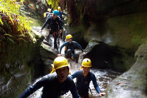 Full-Day Canyoning Experience At Stunning Empress Canyon - Hotel QLD 5