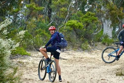 Blue Mountains Hanging Rock SELF-GUIDED Mountain Bike Hire Service - Hotel QLD 4