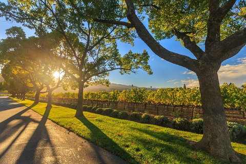 Very Best Of Perth Tour - Wildlife Park & City Highlights Tour - Hotel QLD 2