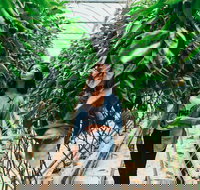 Yarra Valley Local Produce and Wine Tasting Tour - Hotel QLD