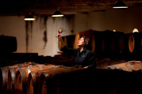 Seppeltsfield Centenary Tour - Hotel QLD 3