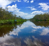Noosa Everglades Serenity Cruise  Highlights Tour Inc. Lunch  Cruise - Hotel QLD