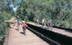 Perth Hills - Wildlife, Art & Gastronomy - thumb 2