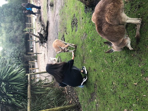 Perth Hills - Wildlife, Art & Gastronomy - Hotel QLD 4