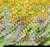 Margaret River Indulge and Discover Day Tour - Hotel QLD