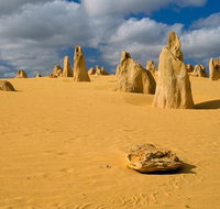 The Pinnacles Sea and Dunescapes Bush Reserve and Sunset Day Tour - Hotel QLD