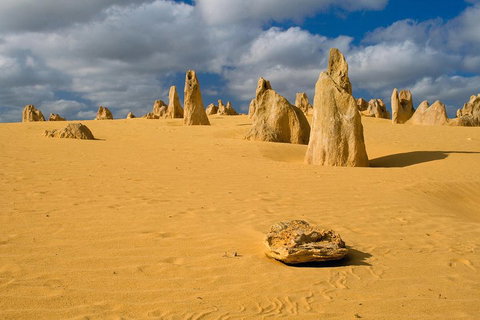 The Pinnacles, Sea And Dunescapes, Bush Reserve And Sunset Day Tour - Hotel QLD 0