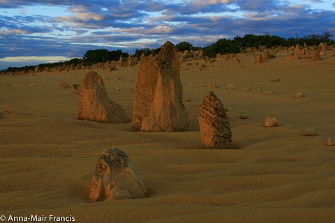 The Pinnacles, Sea And Dunescapes, Bush Reserve And Sunset Day Tour - Hotel QLD 1